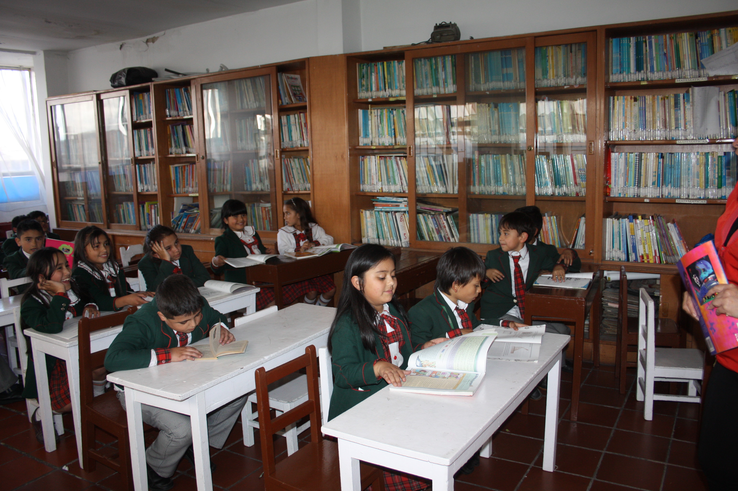 Misión institucional